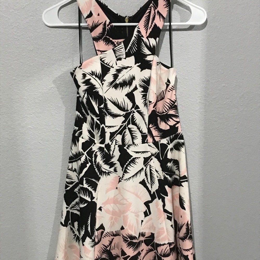 Express Pink Floral Dress